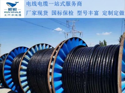 鄭州電纜廠淺談電纜著火怎么辦呢？撲救辦法在這里