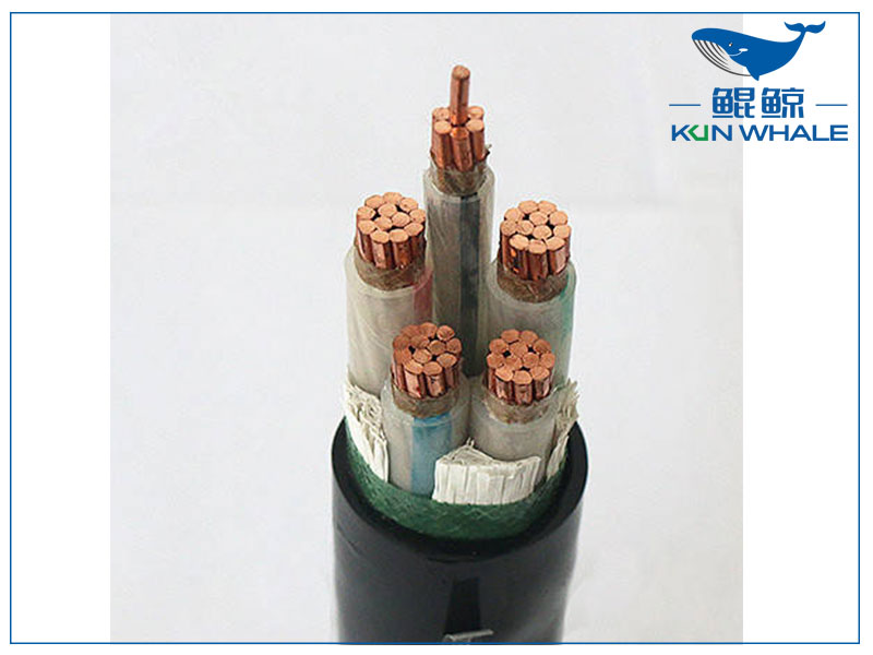 鄭州電纜廠帶你了解wdz—yje是什么電纜？